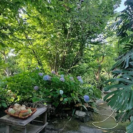 San Renato * Sorrento